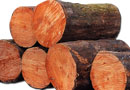 11月，全国木材市场解析