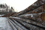 中国耗资1700万元在俄木材加工厂正式建成投产