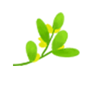 佰叶荟全屋定制让源于大自然的家居走进你的家！