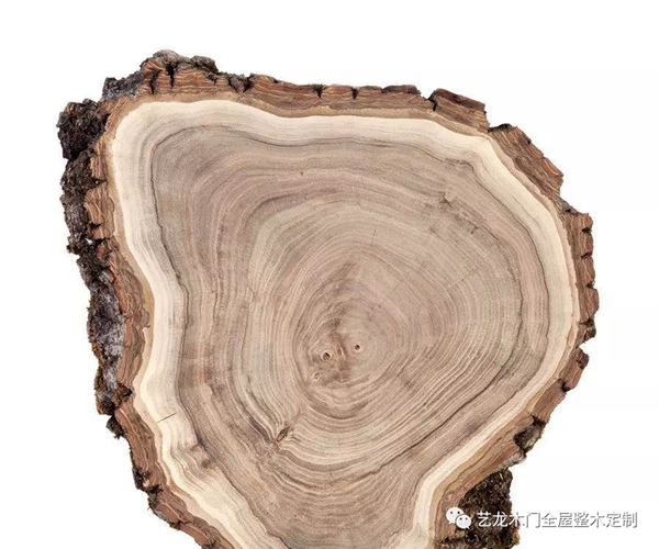艺龙木门·整木定制：这些木材你都了解吗？