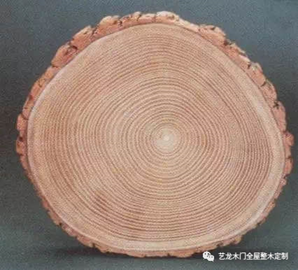 艺龙木门·整木定制：这些木材你都了解吗？