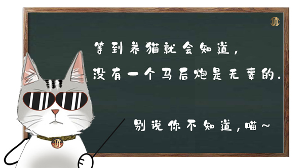 思诺尔家木门 | 猫主子说：听我的，别说你不知道！