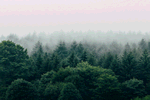 嘉宝莉家具漆：自然森林色系