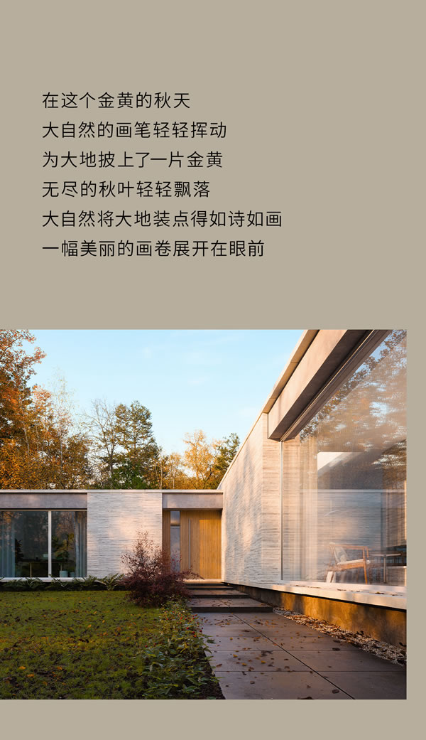 欣畅门窗·金黄满地丨人间朝暮，叶落惊秋