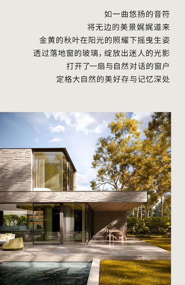 欣畅门窗·金黄满地丨人间朝暮，叶落惊秋