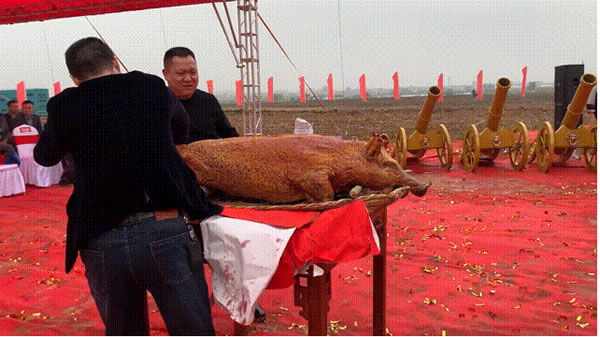 深耕大湾区·腾飞启新程 | 安格尔门窗智造产业基地正式动工
